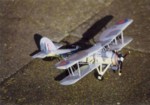 Fairey Swordfish Fly Model 36 07.jpg

56,01 KB 
795 x 562 
19.02.2005
